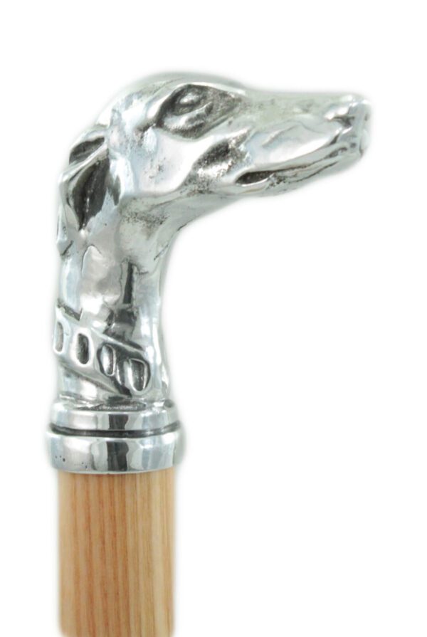 Walking stick Greyhound collar