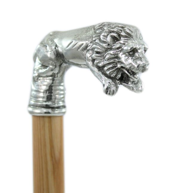 IMG_1356 Walking stick Lion whole