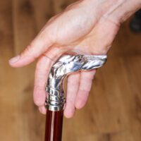 Walking stick Greyhound collar