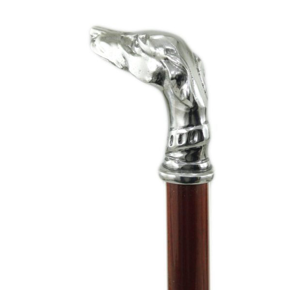 Walking stick Greyhound collar