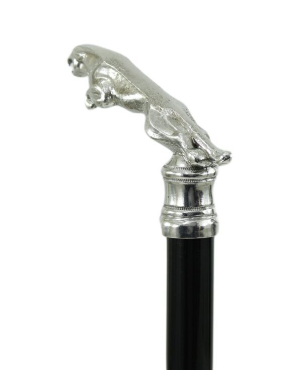 Jaguar Walking Stick