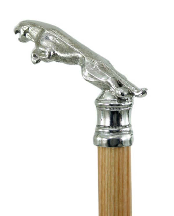 Jaguar Walking Stick
