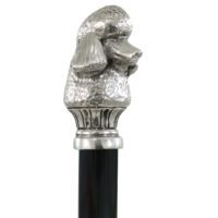 barboncino nero Canne de marche pour un caniche