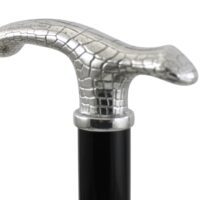 IMG_9599 Canne de marche patrimoniale